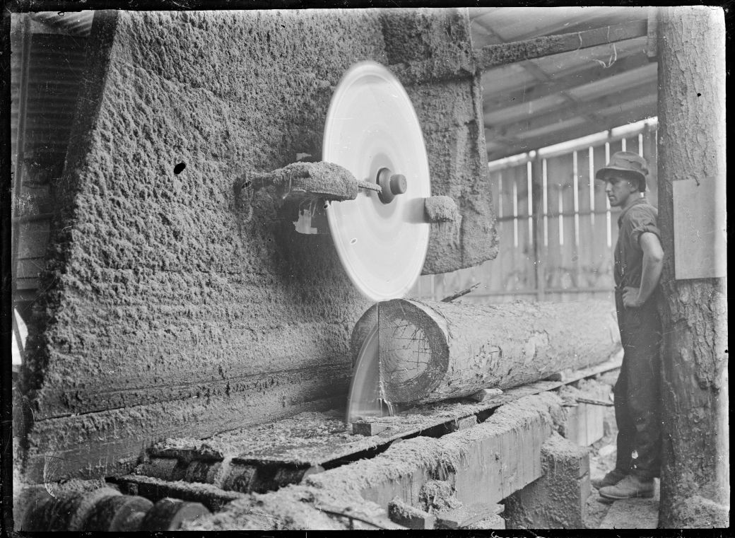 Old photo showing a man standing beside a spinning large circular saw in a log mill.
